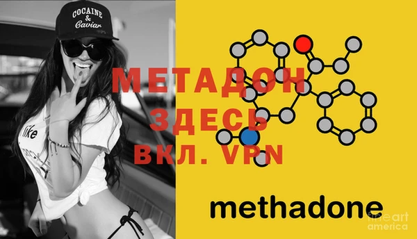 стафф Новодвинск