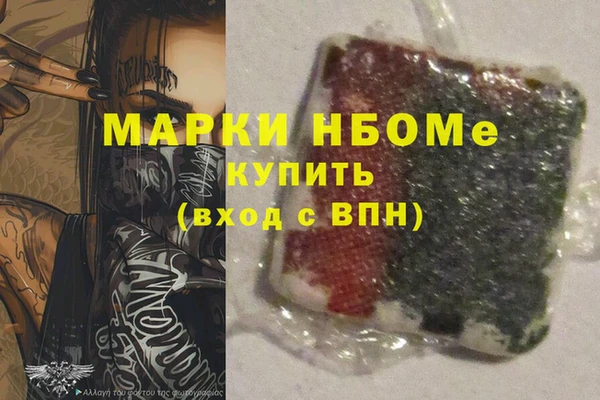 стафф Новодвинск