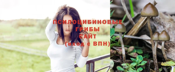 стафф Новодвинск