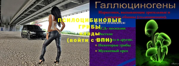 стафф Новодвинск