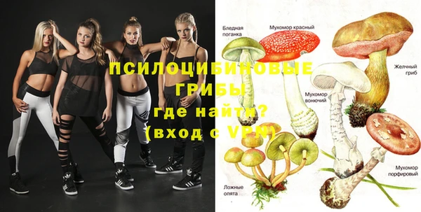 стафф Новодвинск