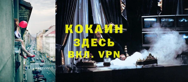 стафф Новодвинск