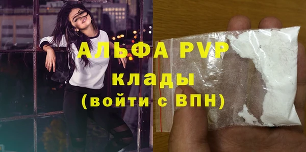 стафф Новодвинск