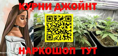 дурь Гай