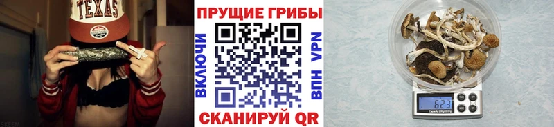 Псилоцибиновые грибы GOLDEN TEACHER  закладка  блэк спрут ссылки  Ишим 