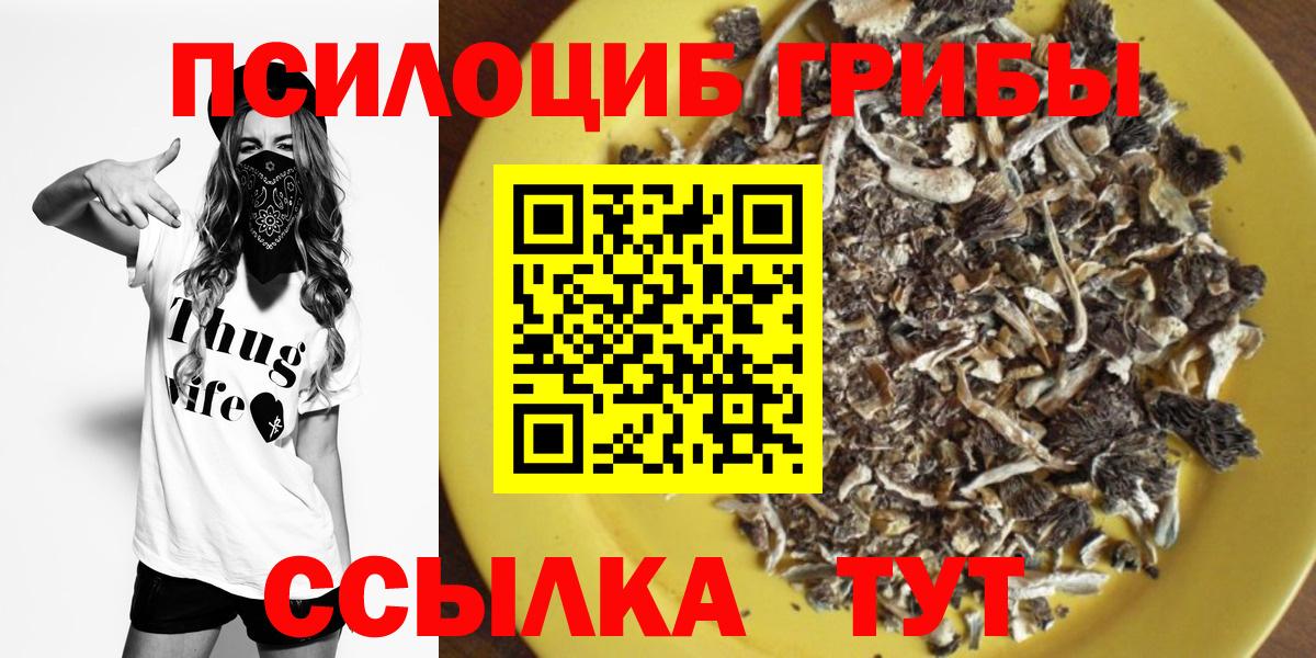 Псилоцибиновые грибы прущие грибы Ишим