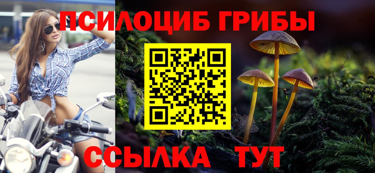 Ишим  Псилоцибиновые грибы GOLDEN TEACHER  дарнет шоп  Псилоцибиновые грибы Psilocybe  Вход с VPN 